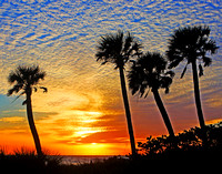 Englewood Florida Sunset